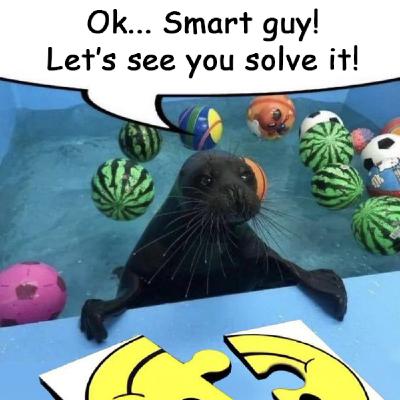 Episode 81 - It's Not Personal, It's Monkey Business Episode 81 - It's Not Personal, It's Monkey Business