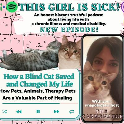 How a Blind Cat Saved and Changed My Life (The Importance of Animals, Pets and Therapy Pets) How a Blind Cat Saved and Changed My Life (The Importance of Animals, Pets and Therapy Pets)