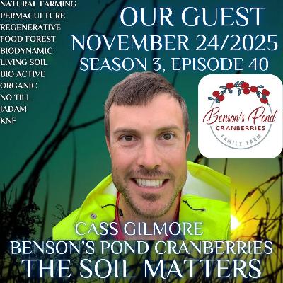 Cass Gilmore Benson’s Pond Cranberries