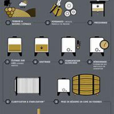 Les Vinifications des Vins Tranquilles