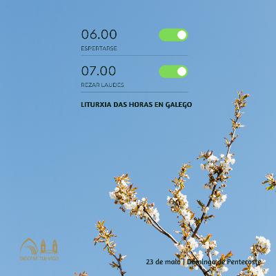 Tempo de Pascua | Domingo de Pentecoste