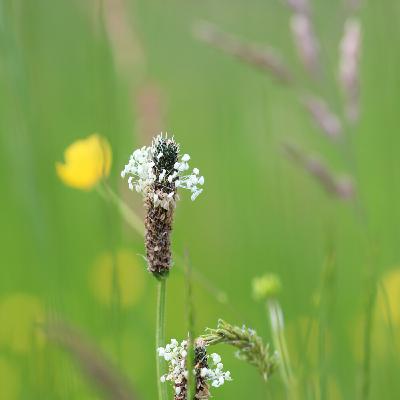 Respiration : se reconnecter à son corps