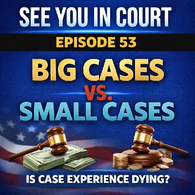 Are Fewer Trials Weakening Lawyer Training?