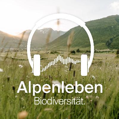Biodiversität auf dem Golfplatz Andermatt