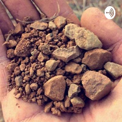 إياكم وقطيعة الإخوة والأخوات