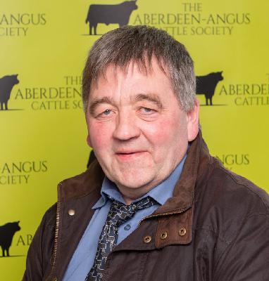190 - People in Livestock - Colin Davidson