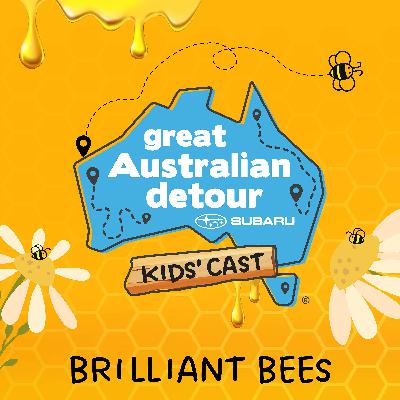 Brilliant Bees Brilliant Bees