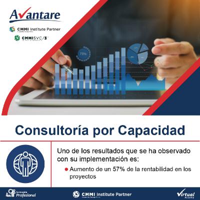 Consultoría por Capacidad