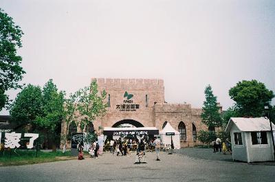 Vol.1 倒叙十年迷笛主题曲，来迷笛不再孤单