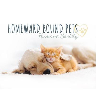 Interview with Casey Shook of Homeward Bound Pets Humane Society Interview with Casey Shook of Homeward Bound Pets Humane Society