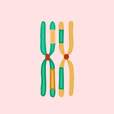 Preserving Variation in a Population