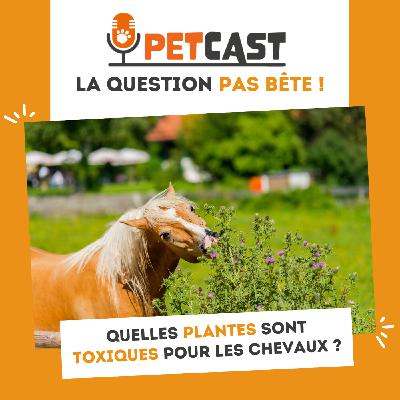 Quelles plantes sont toxiques pour les chevaux ?
