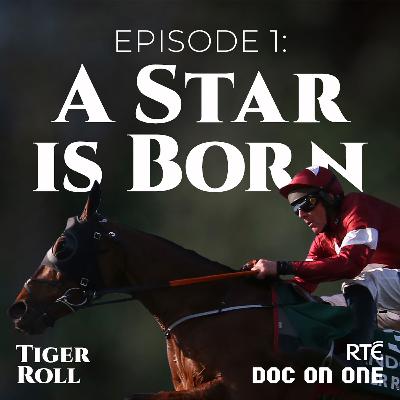 Episode 1: A Star is Born