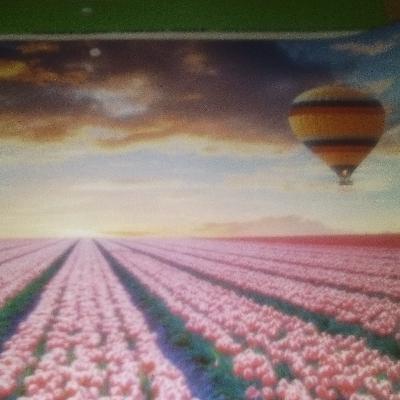 Back to School Time: How Should We Support Our Middle School Adolescents