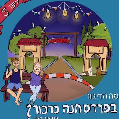 סטוריטלינג ואמנות הסיפור | שרון אביב