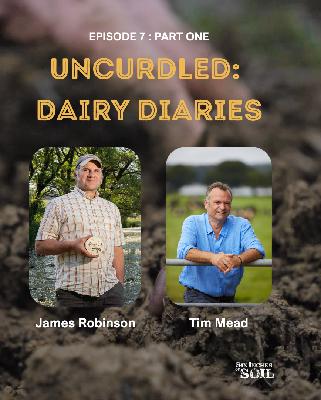 Uncurdled: Dairy Diaries