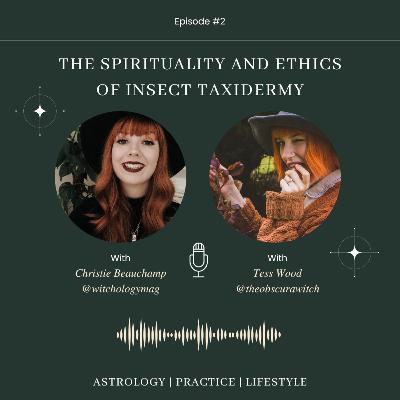 Episode 2: The Spirituality and Ethics of Insect Taxidermy with Tess Wood Episode 2: The Spirituality and Ethics of Insect Taxidermy with Tess Wood