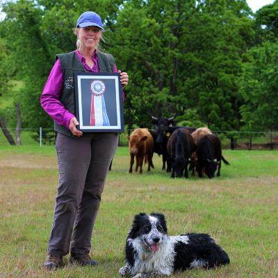 Linda Holloway, AKC Herding Breeder of the Year 2014 Linda Holloway, AKC Herding Breeder of the Year 2014