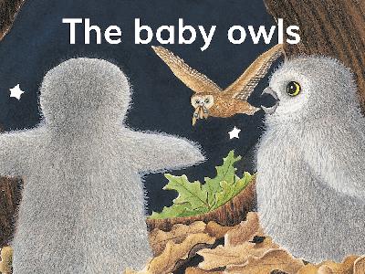 【Tina姐姐讲故事】The Baby Owls(level4)