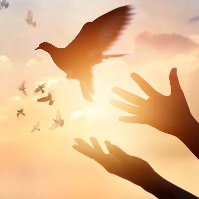 Forgiveness Meditation Forgiveness Meditation