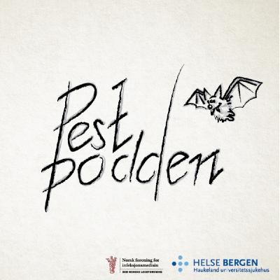 Flaggermusens mysterier