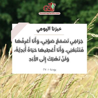 المسيح يزرع زرعه للحياة الأبدية - خبزنا اليومي المسيح يزرع زرعه للحياة الأبدية - خبزنا اليومي
