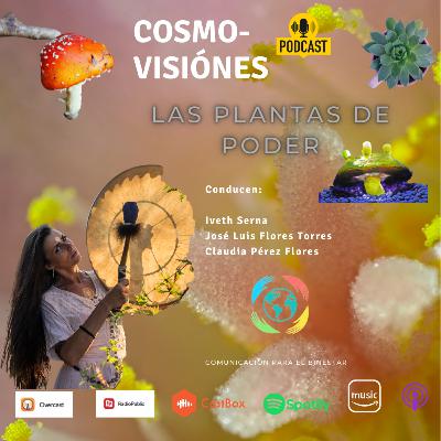 LAS PLANTAS DE PODER LAS PLANTAS DE PODER