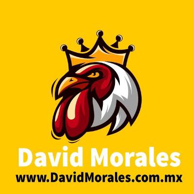 Mi Método de artículos ilimitados para tu blog