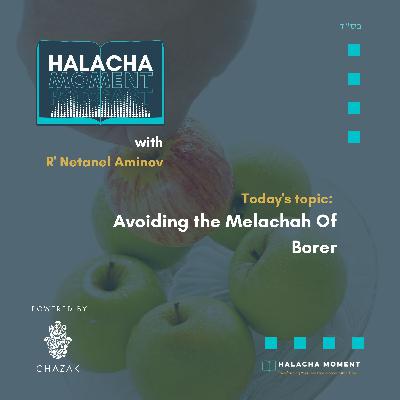 How to Avoid Aoing Borer - Halacha Moment