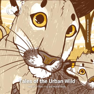 Tales of the Urban Wild with Dr. Tiffany Yap and Meital Smith