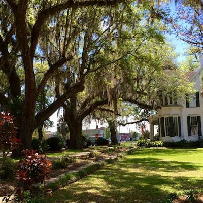 Live Southern 20 Southern Stubbornness