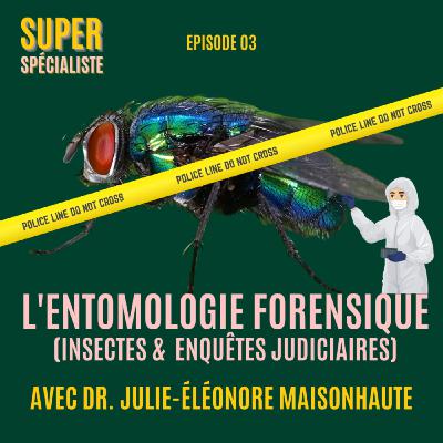 L'entomologie forensique (insectes & enquêtes judiciaires), avec Dr. Julie-Éléonore Maisonhaute