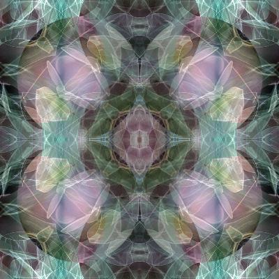 Psychedelic Music Chat with J Whitty Psychedelic Music Chat with J Whitty