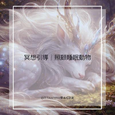 冥想引導｜照顧睡眠動物