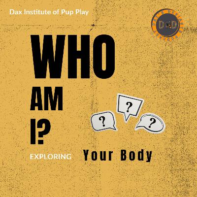 Who am I? Part 3 - Understanding your Body