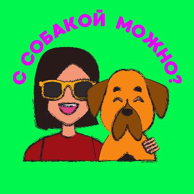 3/3 Настя Бобкова: хороший специалист, перелет с собакой и тревога разлуки