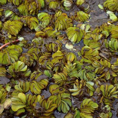 Episode 4: Deep Water Horizon - A Decade On. Part 3 of 4 Episode 4: Deep Water Horizon - A Decade On. Part 3 of 4