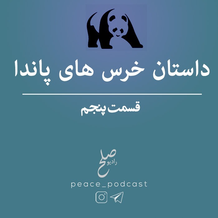 خرس های پاندا - اپیزود 5 - شب چهارم