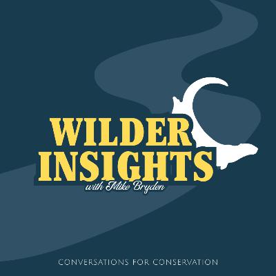 What's next for Wilder Insights | End of Season 01