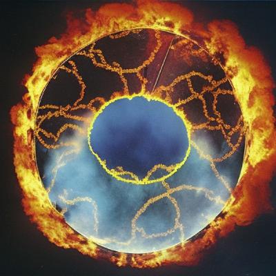 Part 1 ~ Philosophy of Language by Vilém Flusser