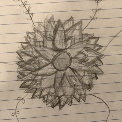 Check out my cool-ish drawing!
