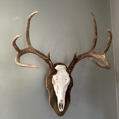 Pro Tip in Passing No. 16- Game Processing Pro Tip in Passing No. 16- Game Processing