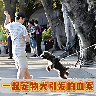 山西长治一起狗咬人引发的命案，故意伤害还是正当防卫？