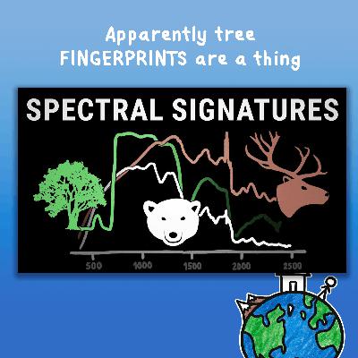 Apparently tree FINGERPRINTS are a thing Apparently tree FINGERPRINTS are a thing