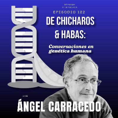 Genética desde el Camino: un faro global con raíces gallegas