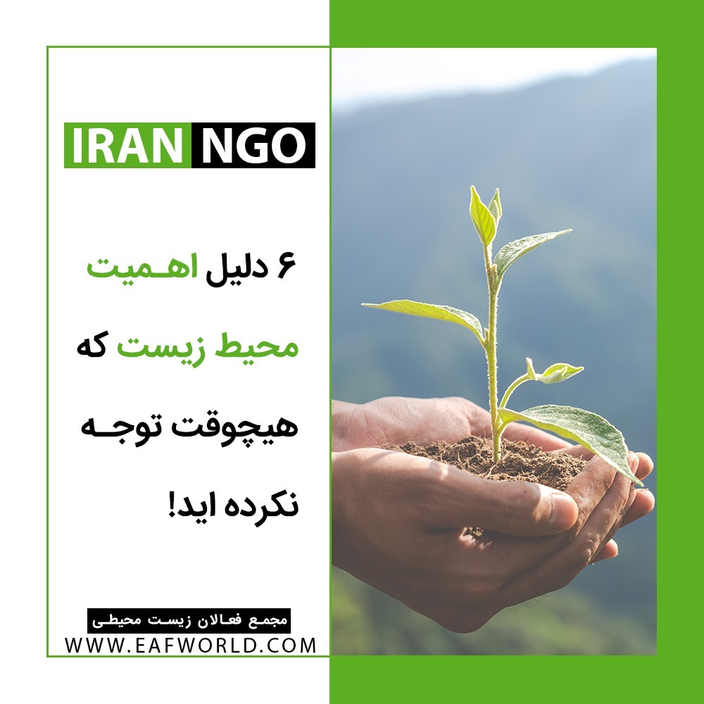 شش دلیل اهمیت محیط زیست که هیچوقت توجه نکرده اید