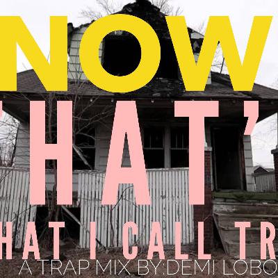 "Now That's What I Call Trap" Mix By: Demi Lobo