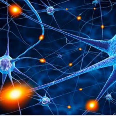Neuronas espejo