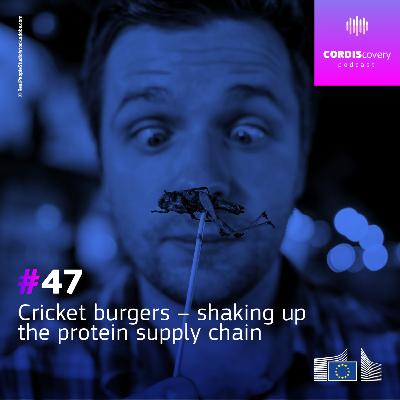 Cricket burgers – shaking up the protein supply chain
