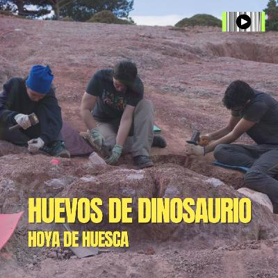 Huevos de dinosaurio